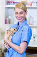 Portrait of woman vet bringing a rabbit