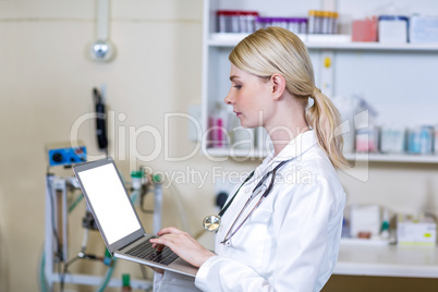 A woman vet using her laptop