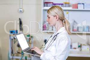 A woman vet using her laptop