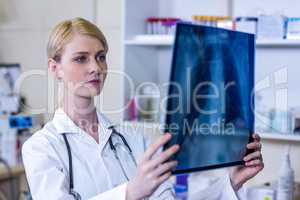 A woman vet observing x-ray