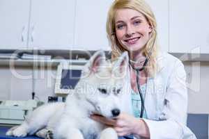 A woman vet examining a dog