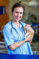 Portrait of woman vet bringing a kitten