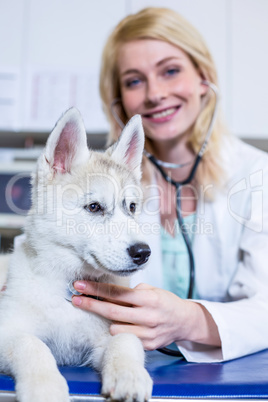 A woman vet petting a dog