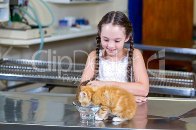 A kitten drinking water