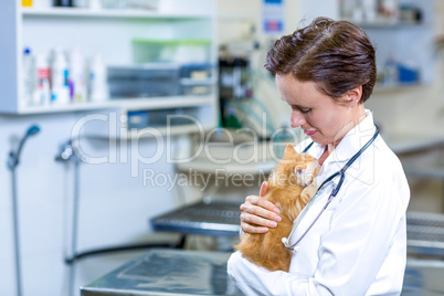 Portrait of woman vet holding a cute kitten