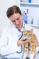 Portrait of woman vet examining cats heart