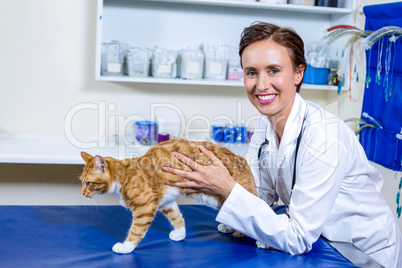 Woman vet examining a cat