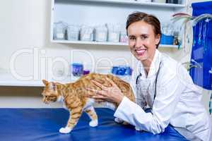Woman vet examining a cat