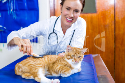 Portrait of woman vet examining a cat