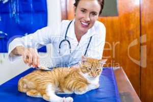 Portrait of woman vet examining a cat