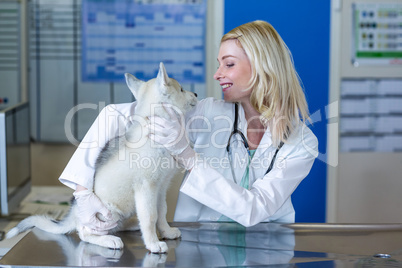 Woman vet smiling and examining a cute puppy