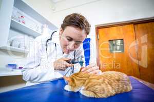 Portrait of woman vet examining cats ears