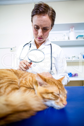 Portrait of woman vet using magnifying glasses on a cat