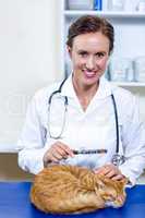 Portrait of on woman vet examining a cat
