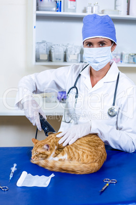 Portrait of vet shaving a cat for a operation