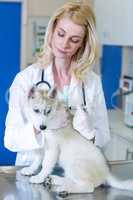 Portrait of woman vet doing a injection to a cute puppy