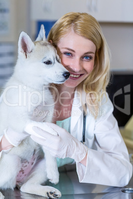 Portrait of woman vet smiling and holding a cute puppy