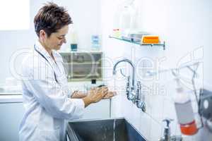 Woman vet smiling and washing her hands