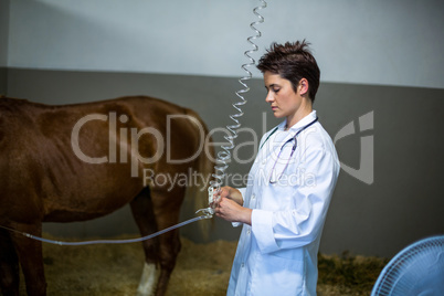 Portrait of woman vet treating a horse