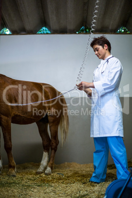 Portrait of woman vet treating a horse