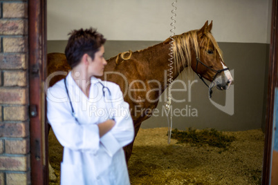 Portrait of woman vet looking a sick horse