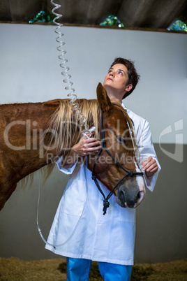 Woman vet treating a horse