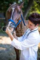 Portrait of woman vet examining horses teeth