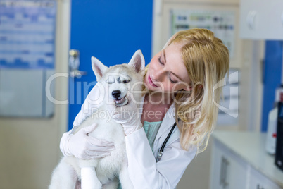 Portrait of woman vet examining a cute puppy
