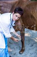 Portrait of woman vet examining horses hoof