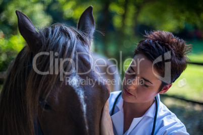 Portrait of woman vet examining a horse