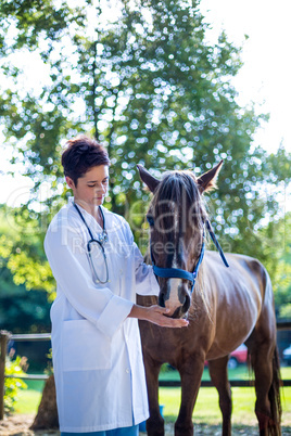 Woman vet examining a horse