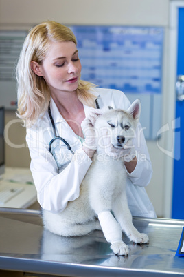 Portrait of woman vet examining a cute puppy