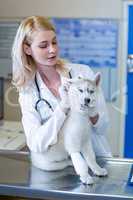 Portrait of woman vet examining a cute puppy