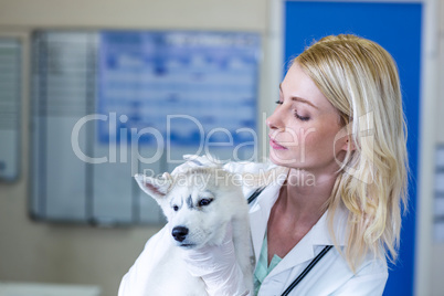 Portrait of woman vet examining puppys ears