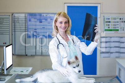 Woman vet smiling and holding the puppys x-ray