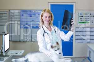 Woman vet smiling and holding the puppys x-ray