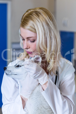 Portrait of woman vet examining a cute puppy