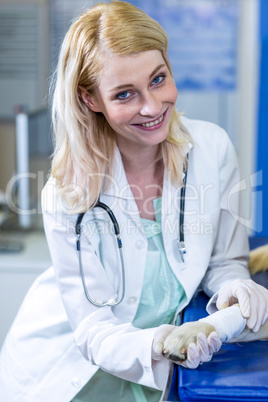 Portrait of woman vet smiling and examining dogs paw