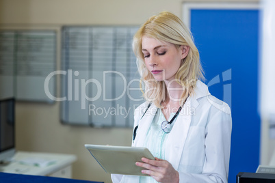 Portrait of concentrated woman vet using a tablet