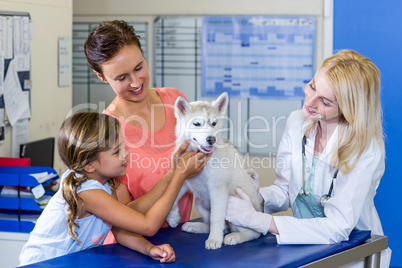 Woman vet and dogs owners smiling and holding a cute puppy