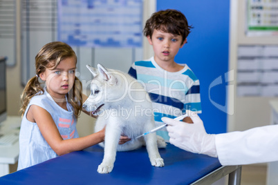 Little children holding a cute puppy and are afraid by the vet i