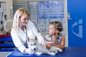 Woman vet smiling and examining a cute puppy with a little girl