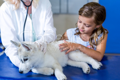 Woman vet examining a cute puppy with a little girl