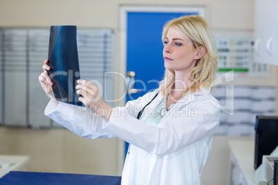 Woman vet studying a dogs x-ray