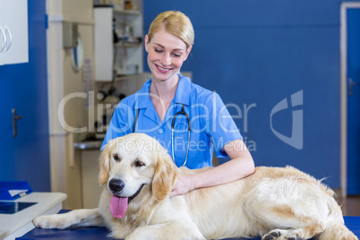 Woman vet smiling and stroking a dog