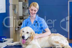 Woman vet smiling and stroking a dog