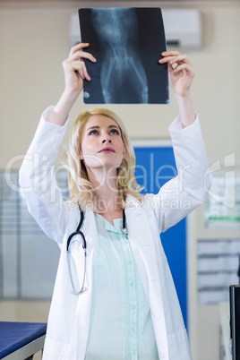 Portrait of woman vet studying the dogs x-ray