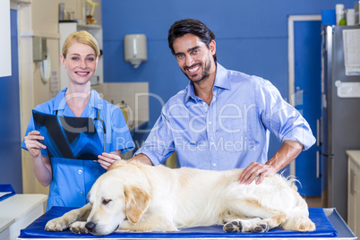 Woman vet and dogs owner smiling and posing