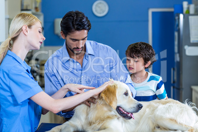 Woman vet examining a dog with the owners