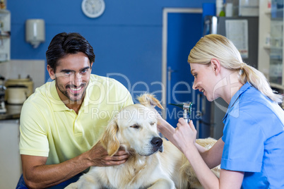 Smiling owner holding his dog during the examination